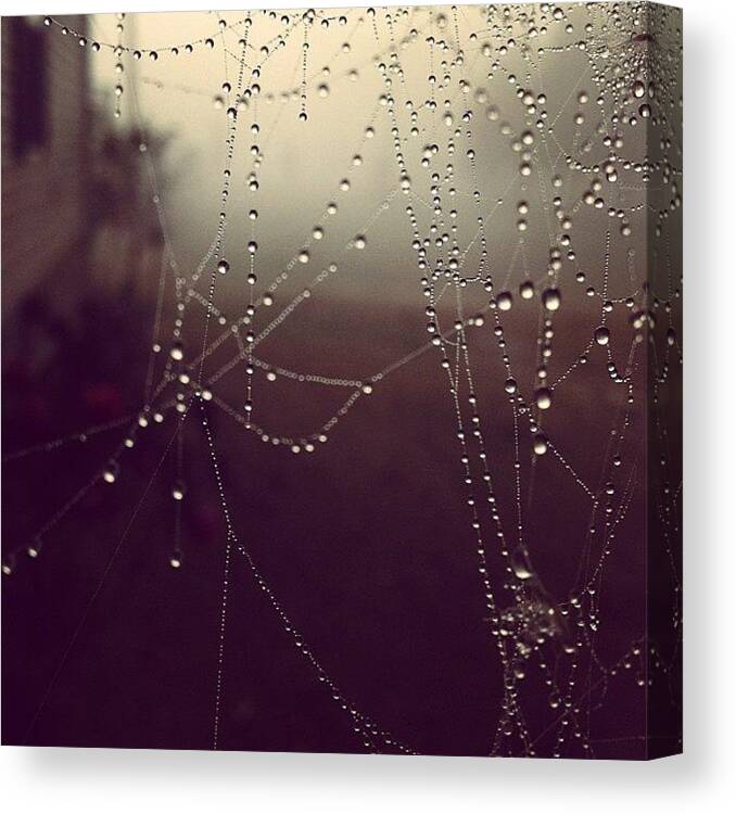 Web Canvas Print featuring the photograph Even The Tiny Spiders Couldn't Escape by Amber Flowers