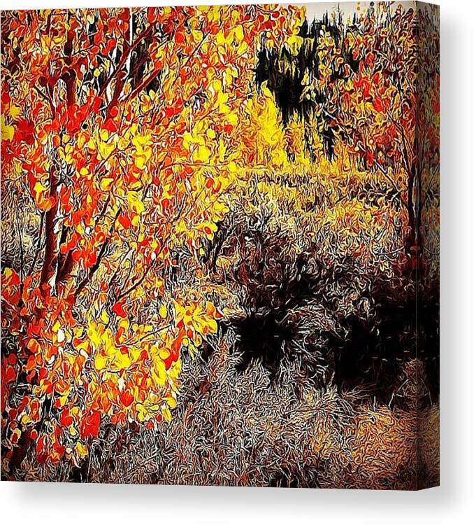 Mountains Canvas Print featuring the photograph Fall Colors For Deer Season by Lisa King