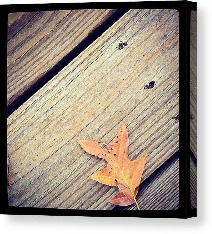 Wood Canvas Print featuring the photograph Fall Colors by Ninette Quiles