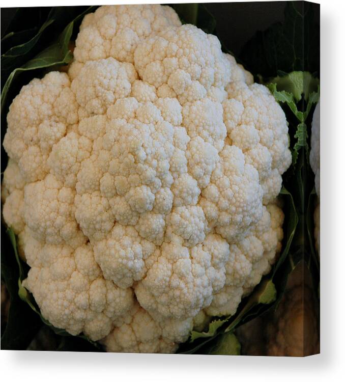 Usa Canvas Print featuring the photograph Farm Fresh Cauliflower by LeeAnn McLaneGoetz McLaneGoetzStudioLLCcom