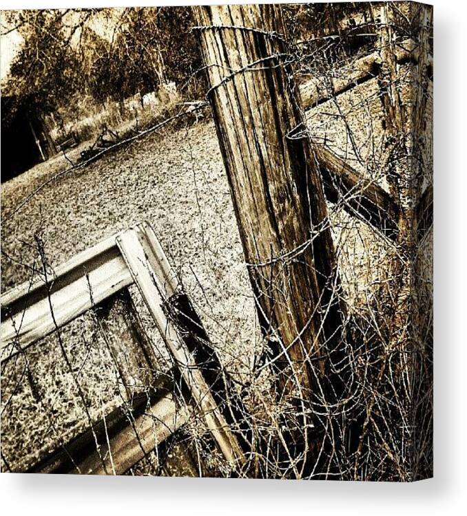 Barbedwire Canvas Print featuring the photograph #farmlife #fence #metal #wood #grass by Brian Evans