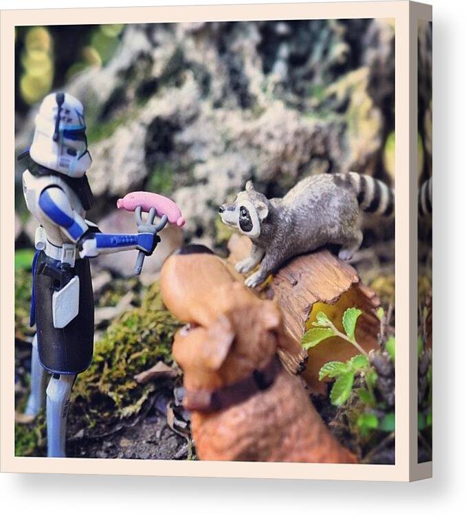 Starwars Canvas Print featuring the photograph Feeding Raccoons #toy #toystagram by Timmy Yang