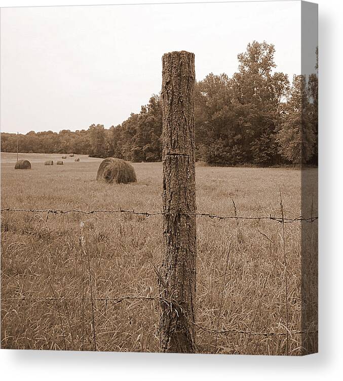Barbed Wire Canvas Print featuring the photograph Fence and Field by Life Makes Art