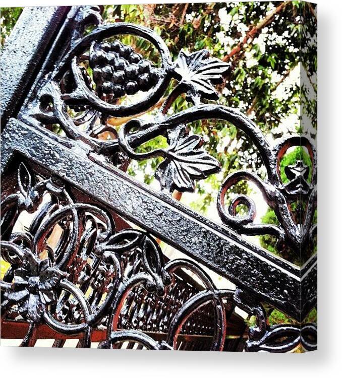 Decorative Canvas Print featuring the photograph #fence #gate #decorative #ornamental by Daniel Corson