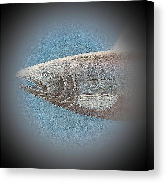 Salmon In Blue Canvas Print featuring the photograph Fish 7 by Andrew Drozdowicz