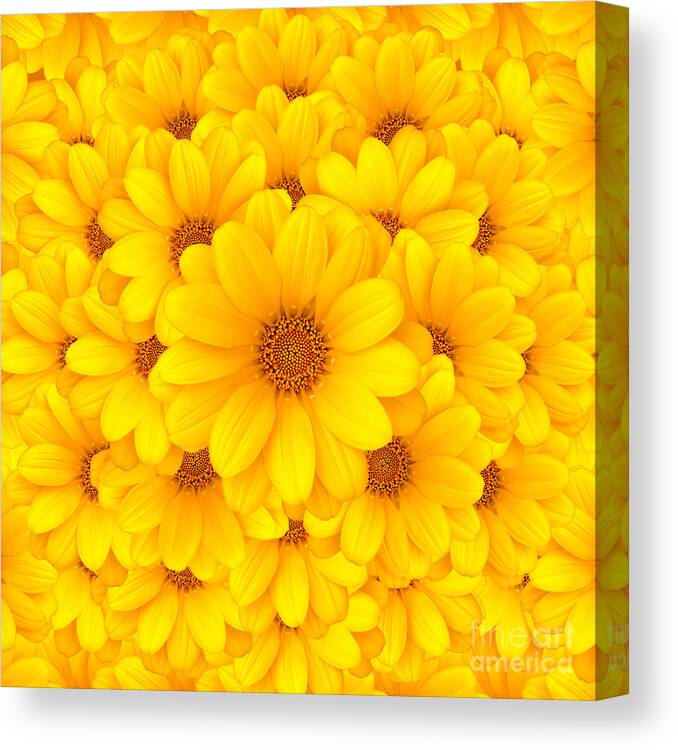 Background Canvas Print featuring the photograph Flower background by Carlos Caetano