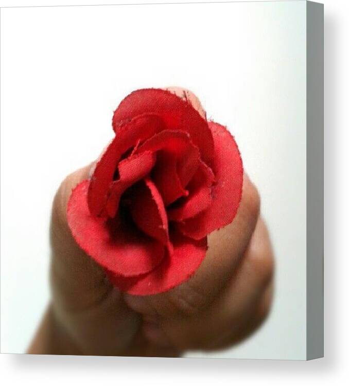 Instagram Canvas Print featuring the photograph #flower #rose #red #romantic by Ivan Braginski