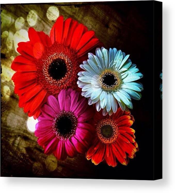 Colors Canvas Print featuring the photograph Flowers Part 3 by Andre Brands