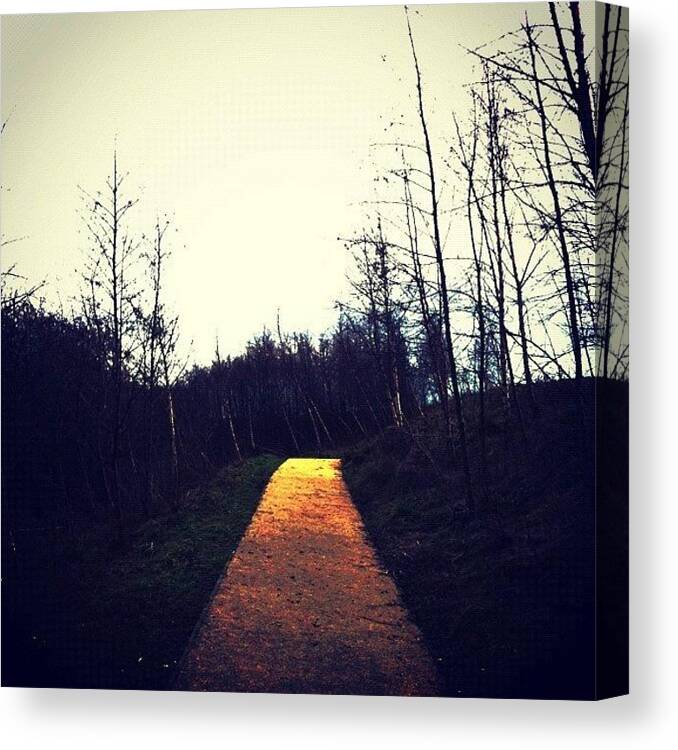 Photostudio Canvas Print featuring the photograph Follow The Yellow Brick Road by Jude L