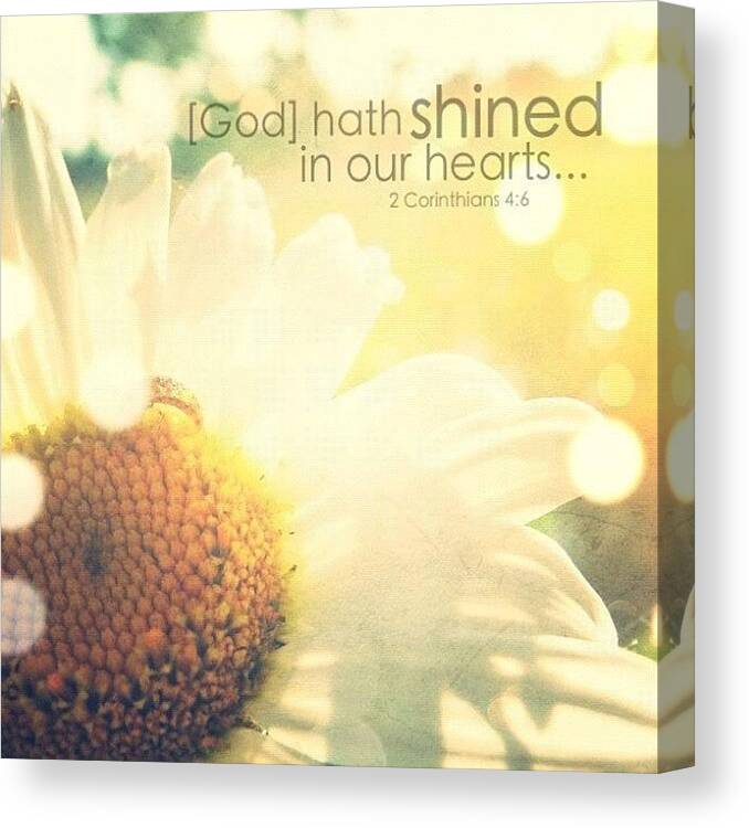 Godisgood Canvas Print featuring the photograph for God, Who Commanded The Light To by Traci Beeson
