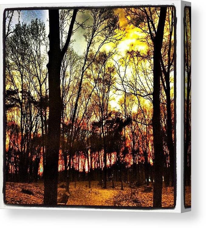 Instagram Canvas Print featuring the photograph forest Fire Another #sunset During by Wilbert Claessens