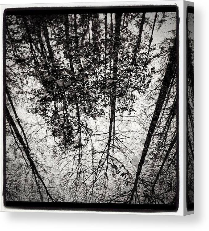  Canvas Print featuring the photograph Forest Reflection At Cuyahoga Valley by Lori Walter