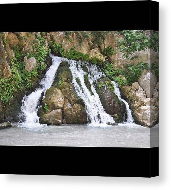  Canvas Print featuring the photograph Fresh Water Spring by Zoe Pile