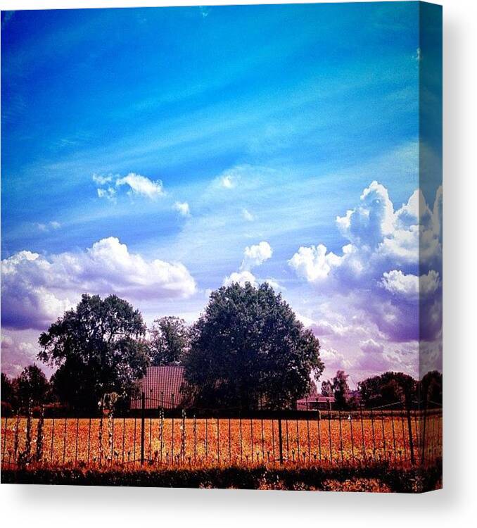 Fields Canvas Print featuring the photograph Garden View At My Mother In Law by Chrit Werdmolder Smeets