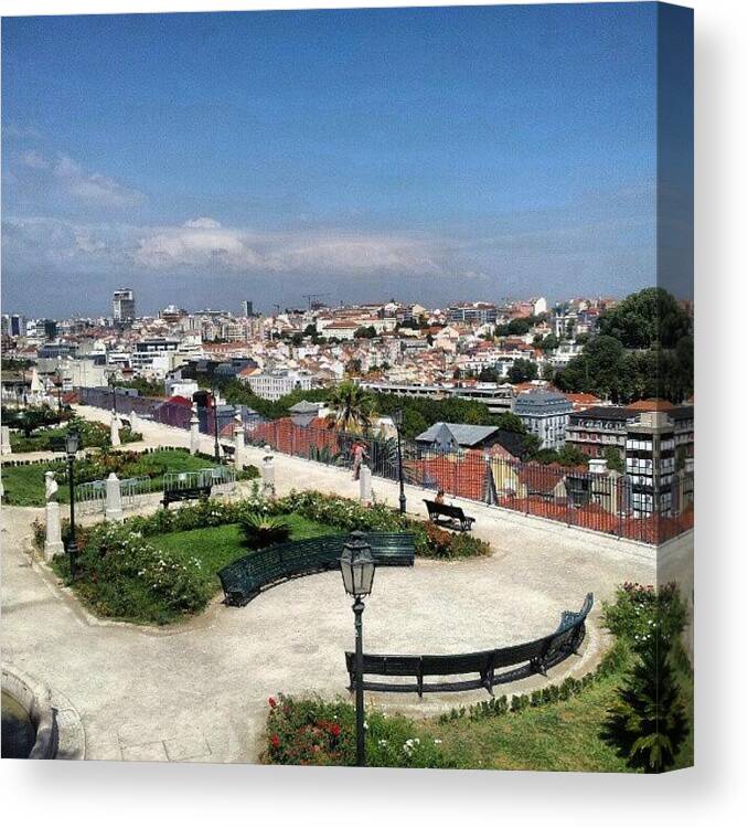 Portugal Canvas Print featuring the photograph Garden With A View To Central Lisbon by Jorge Silveira Sousa
