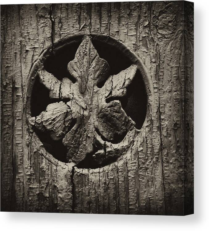 Wood Canvas Print featuring the photograph German Leaf by Carrie Cranwill