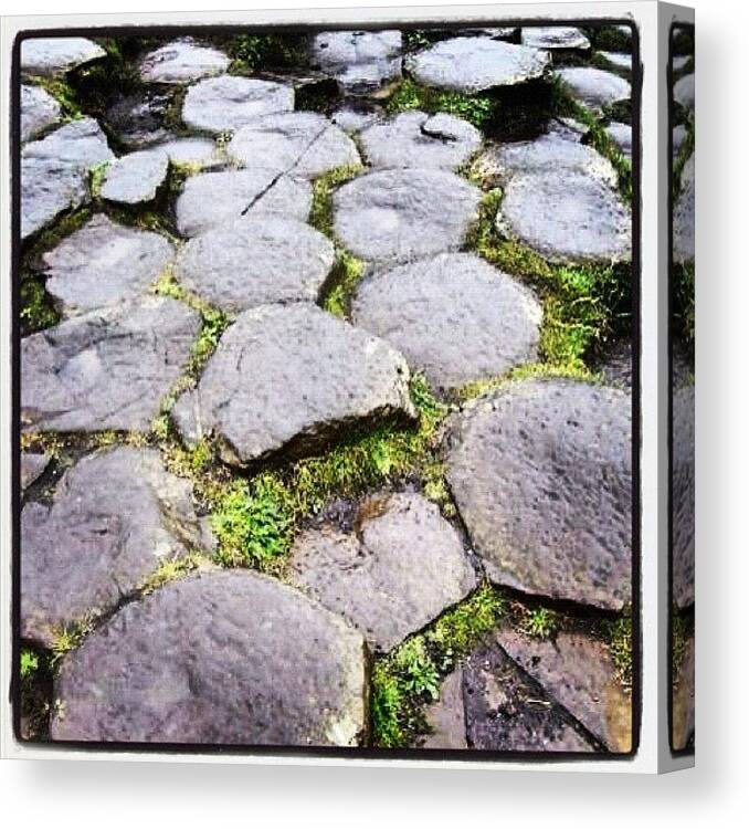  Canvas Print featuring the photograph Giant's Causeway Co. Antrim Ireland by Julia Patterson