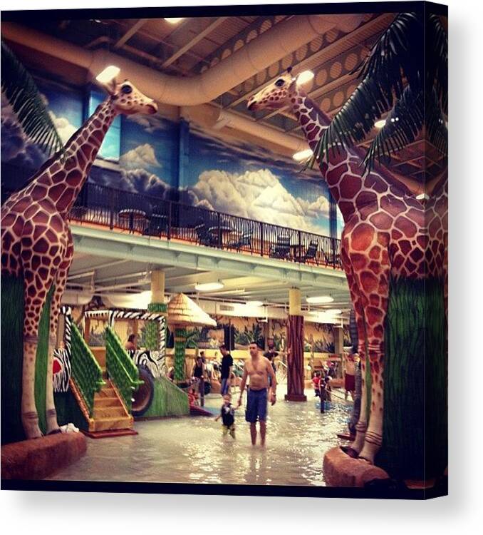 Waterpark Canvas Print featuring the photograph #giraffe #recreation #kalahari #resort by Alaa Almayahi