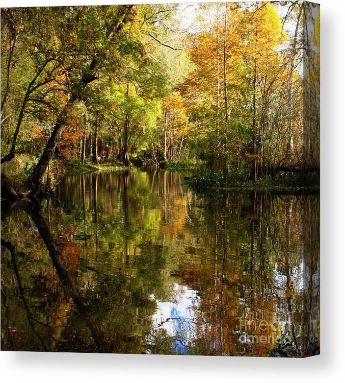Swamp Canvas Print featuring the photograph Golden Swampland by Carol Groenen