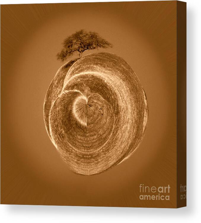 Artoffoxvox Canvas Print featuring the photograph Golden World Tree Photograph by Kristen Fox