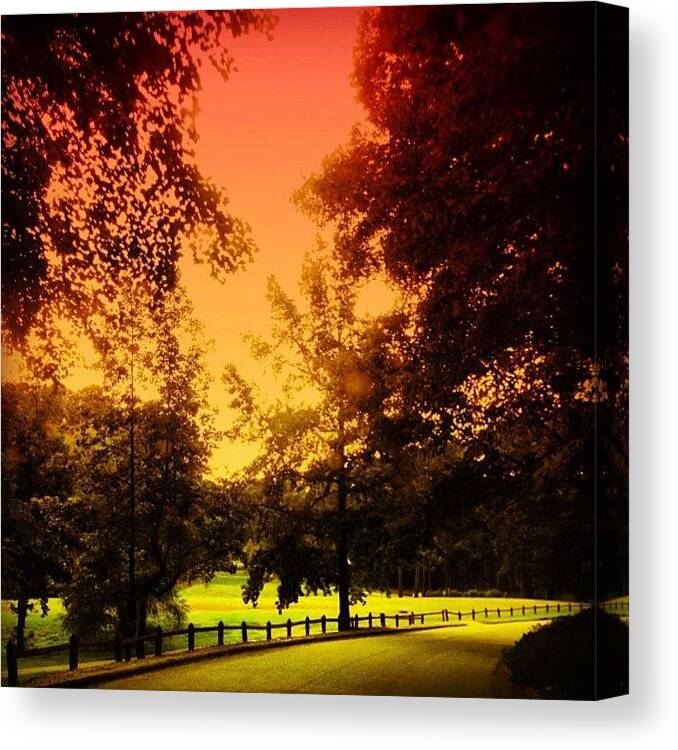 Golf Canvas Print featuring the photograph Golf by Katie Williams