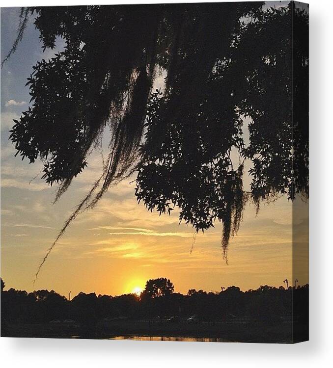 Photooftheday Canvas Print featuring the photograph Good Evening Eastside! by Escapist's Alley