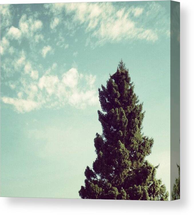 Instaclouds Canvas Print featuring the photograph Good #morning. #trees #clouds #instasky by Michael Squier