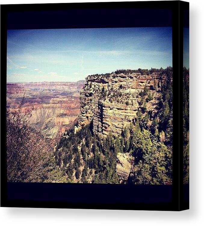 View Canvas Print featuring the photograph Grand Canyon by Isabel Poulin