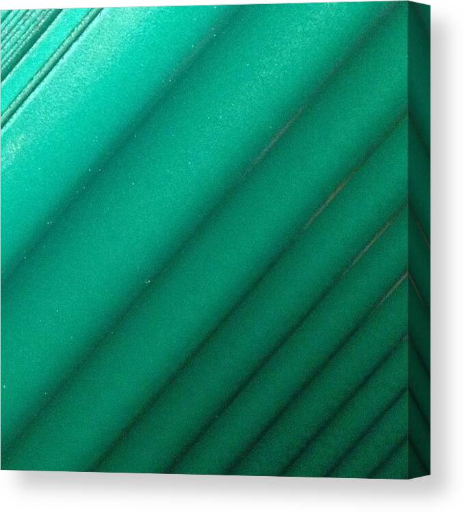  Canvas Print featuring the photograph Green Gradients by Aubrey Erickson