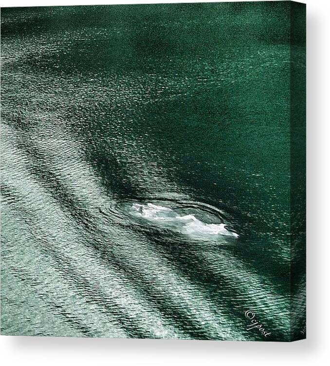 Fromtheship Canvas Print featuring the photograph Green Waters Of Tracy Arm Fjord by Cynthia Post