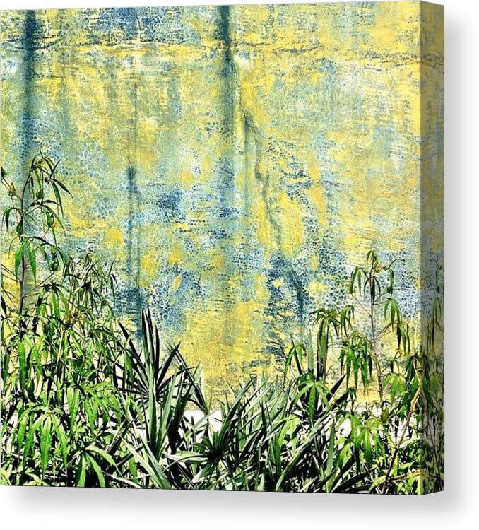  Canvas Print featuring the photograph Greenery by Apple 