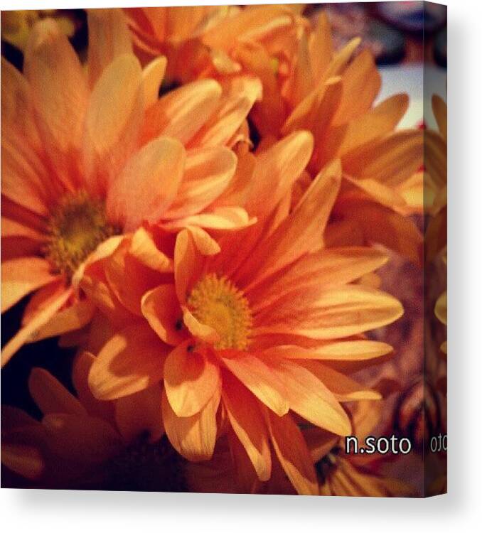 Flowers Canvas Print featuring the photograph Happy Flowers #2 by Nancy Soto
