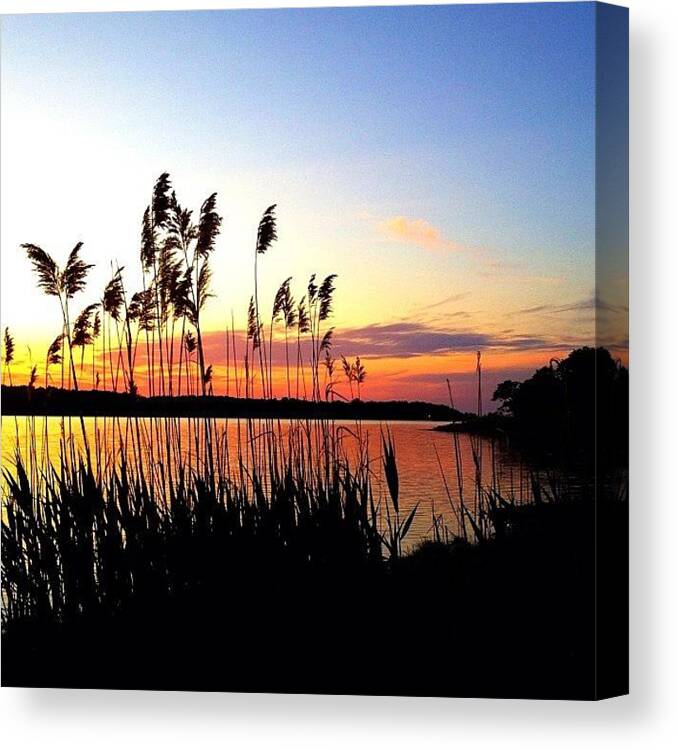 Harbor Canvas Print featuring the photograph Harbor View by Katie Destefano