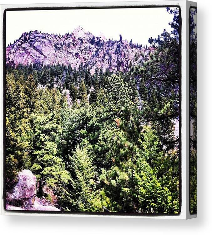 Colorado Canvas Print featuring the photograph Have To Love Field Trips In #geology by Laura Korman