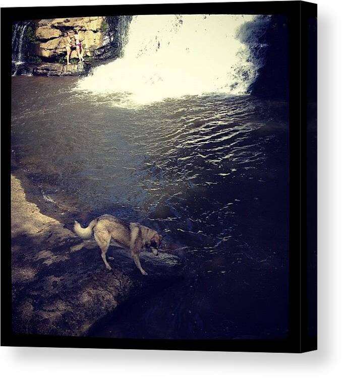  Canvas Print featuring the photograph He Is A Wee Bit Scared Of The Water Yet by Andrew Konopka