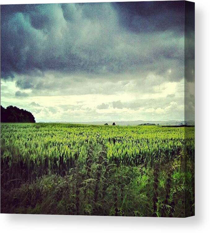 Field Canvas Print featuring the photograph Here Comes The Rain......again by Vicki Field