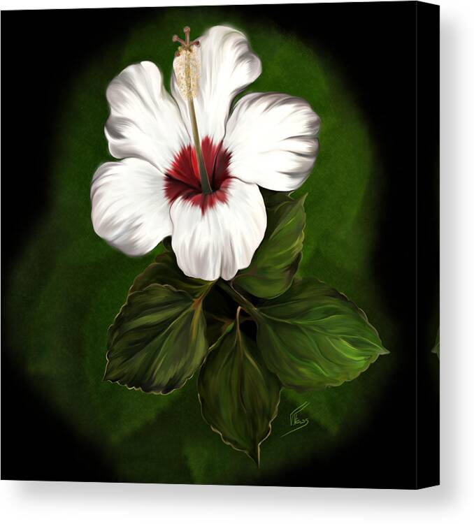 Hibiscus Canvas Print featuring the digital art Hibiscus by Tatiana Fess