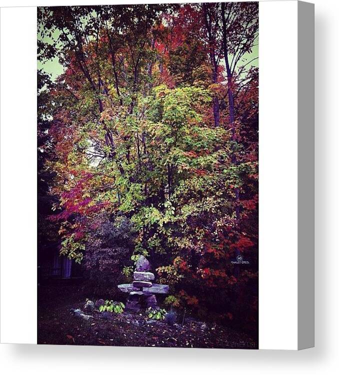 Teamrebel Canvas Print featuring the photograph Hidden Valley Inukshuk by Natasha Marco