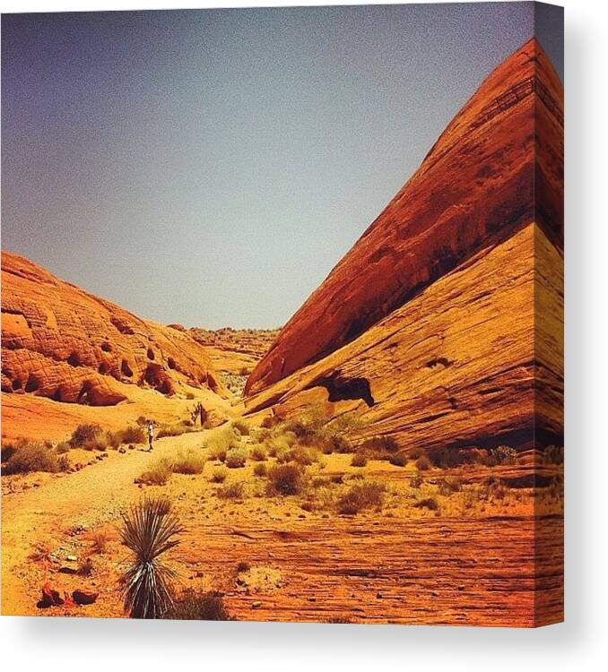  Canvas Print featuring the photograph Hiking White Domes by Kim Hudson