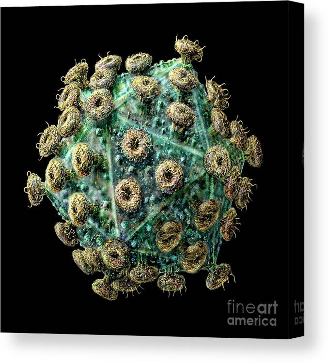 Acquired Canvas Print featuring the digital art HIV Laevo Black by Russell Kightley
