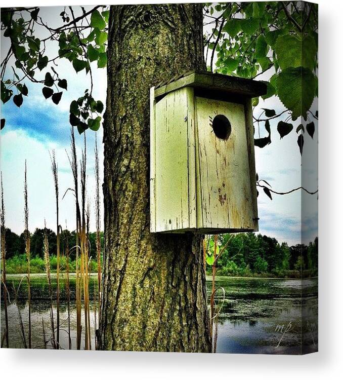 Building Canvas Print featuring the photograph House Of Birds by Maury Page