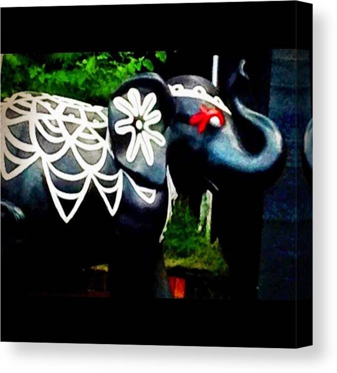 Instagram Canvas Print featuring the photograph I <3 This Elephant! by Kim Cafri