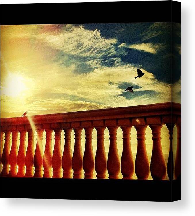 Npoftheyear Canvas Print featuring the photograph I Got Lucky With This Picture #birds by Natalie Murphy