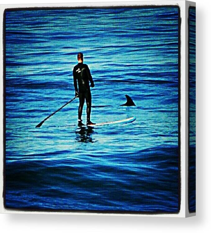 Igerssandiego Canvas Print featuring the photograph I Guess The #dolphins Wanted To Play by Mary Carter