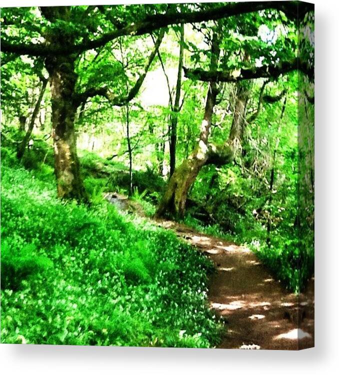 Beautiful Canvas Print featuring the photograph Image Created With #snapseed #isle by Roy Pearson-brown