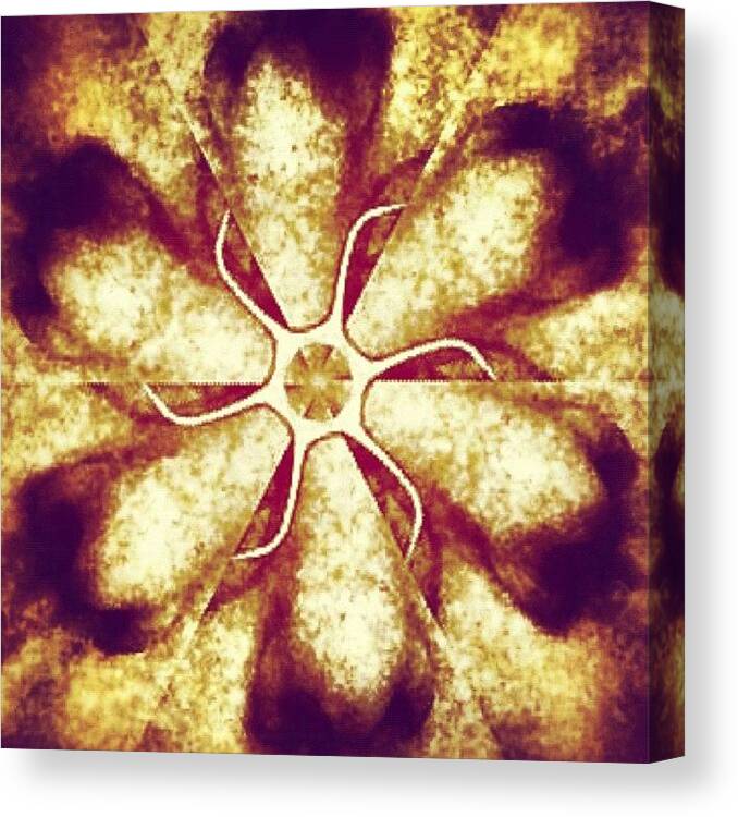 Symetrical Canvas Print featuring the photograph Image Created With #snapseed #mirror by Gokhan N Yenice