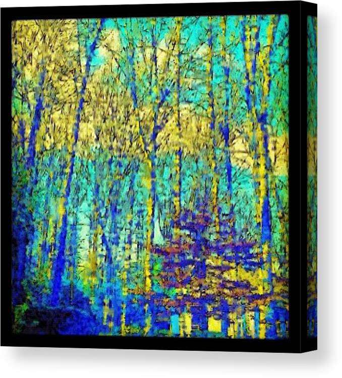  Canvas Print featuring the photograph Impressionist Trees by Kim Cafri