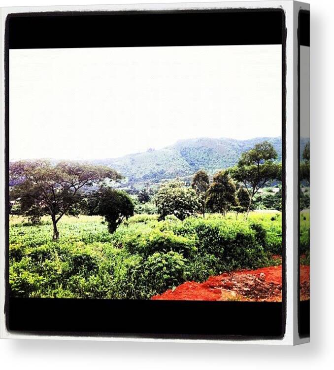 Africa Canvas Print featuring the photograph 🎶in The Jungle, The Mighty Jungle by Luis Alberto