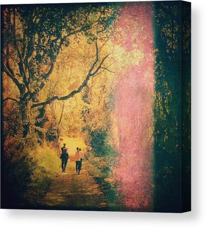Beautiful Canvas Print featuring the photograph Into The light by Linandara Linandara