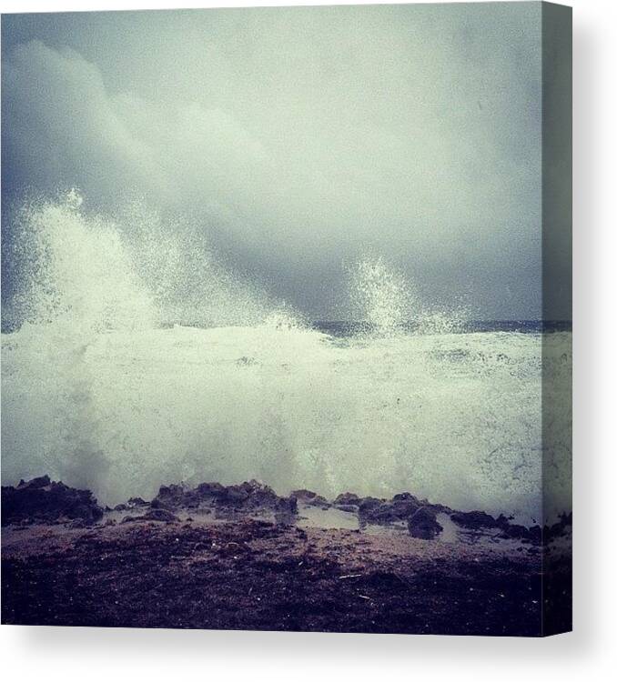 Isaac Canvas Print featuring the photograph #isaac #sunsentinel #blowingrocks by Kyle Kazoo
